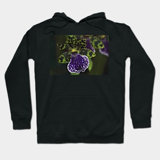 Dramatic Zygopetalum Orchid Hoodie